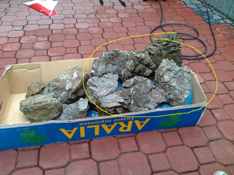 20120414277_120.jpg