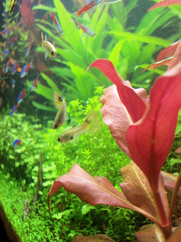 100_1401.JPG