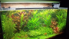 250l - Mateusz J