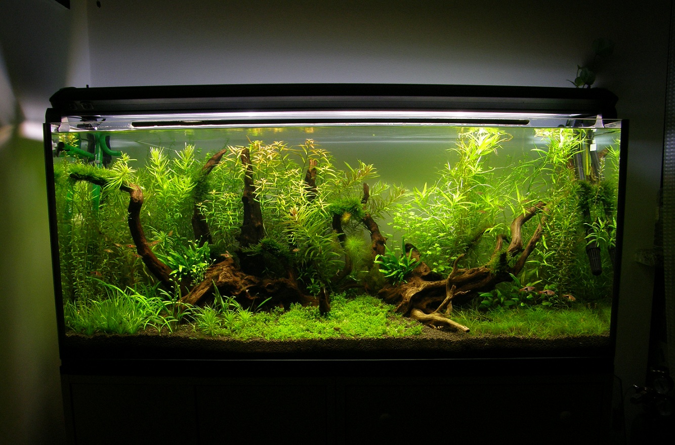 1 (20).jpg