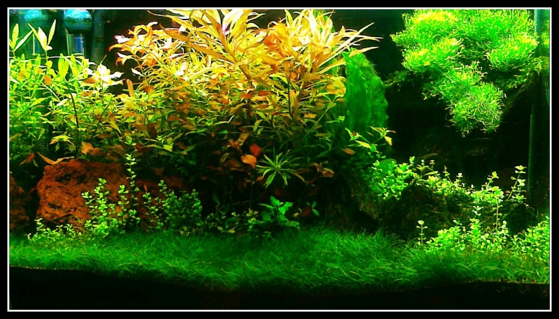201205132001.jpg
