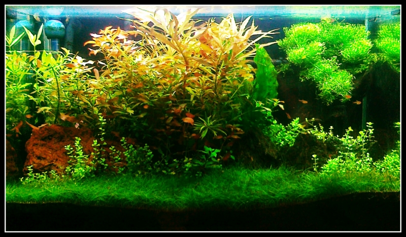 201205132002.jpg