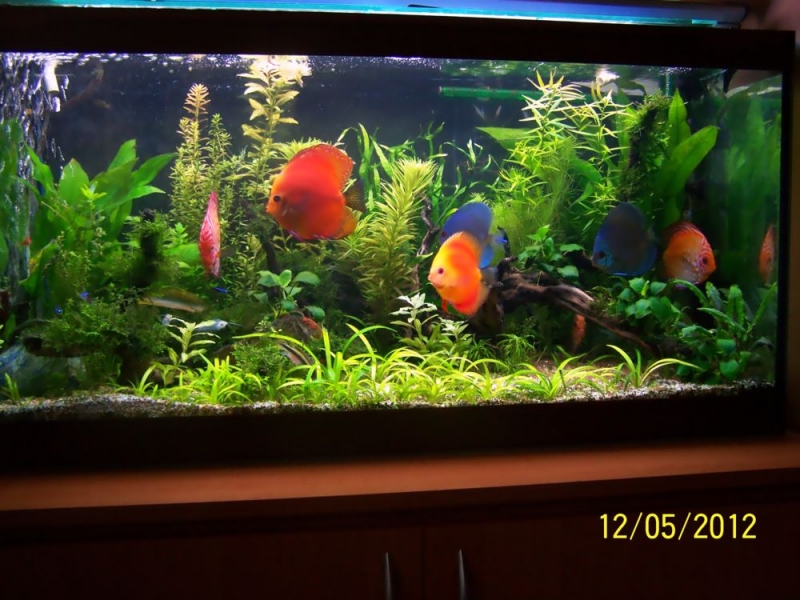 100_8777 1.jpg