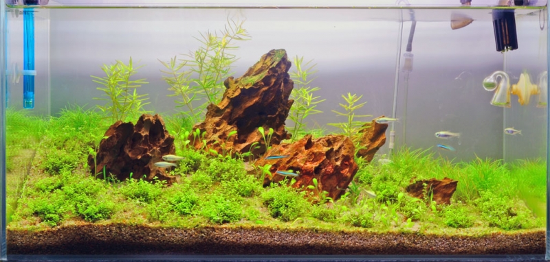 19-05-20122.jpg