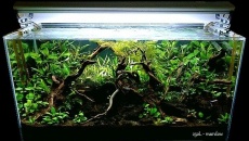 250l - mardow