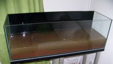200l - Panoramic Aquarium - Artur Żywy