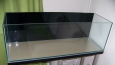 200l - Panoramic Aquarium - Artur Żywy