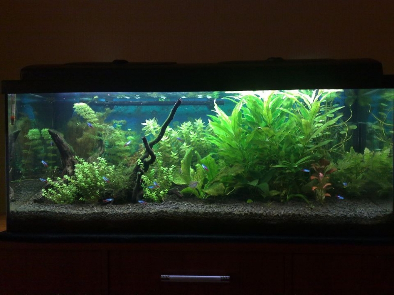 20120526316.jpg