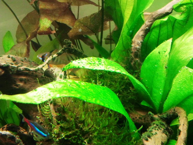 20120607_194729.jpg