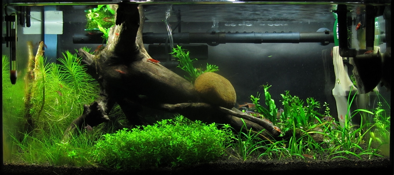 2012-06-10 21.02.41-crop.jpg