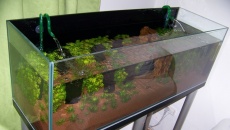 200l - Panoramic Aquarium - Artur Żywy