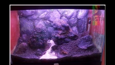 148l - " The World Of Nature"