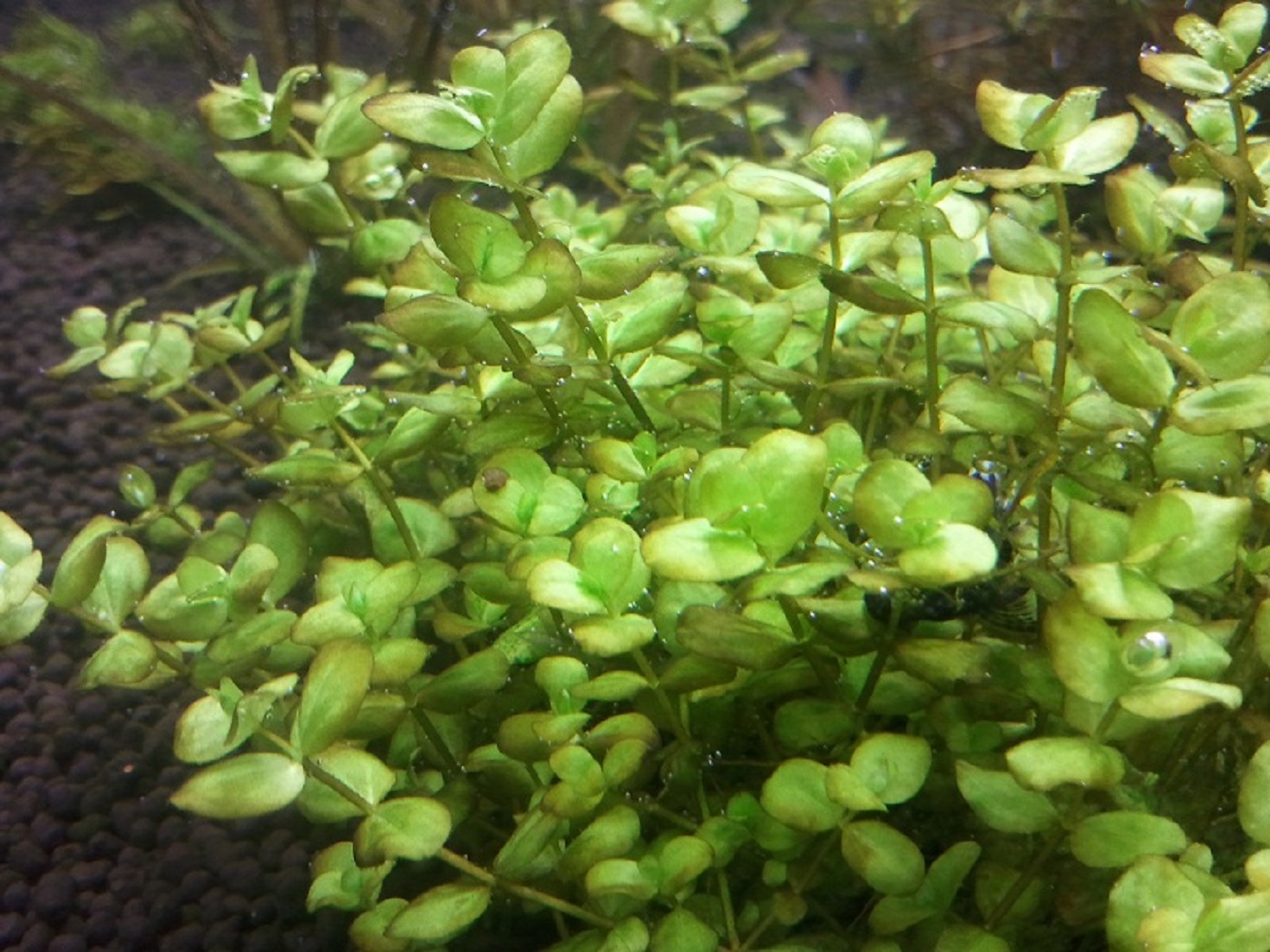 2012-06-08 18.51.46.jpg