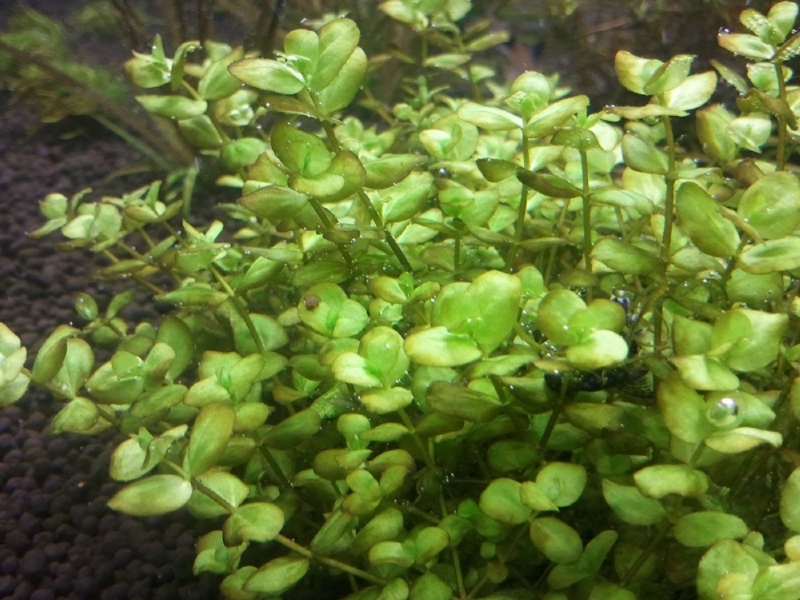 2012-06-08 18.51.46.jpg