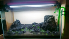 180l - Plant Hills - Piotras200
