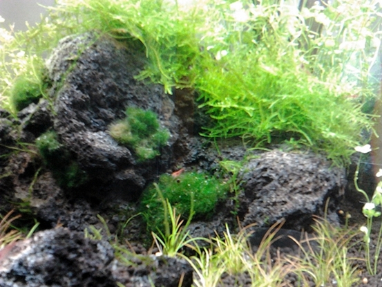 2012-08-02 13.29.49.jpg