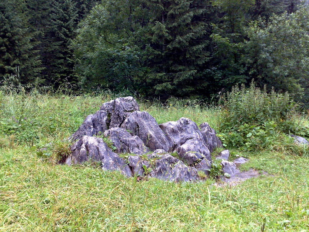 20110730029.jpg