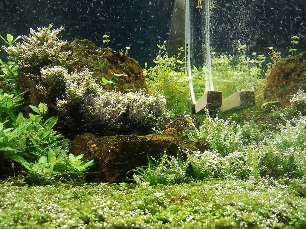20120820_194345.jpg