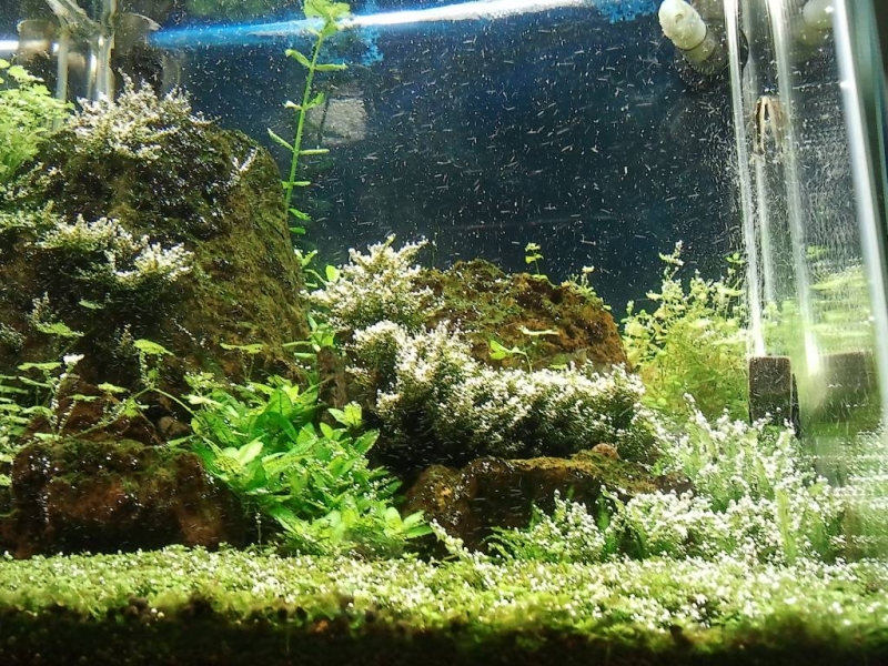 20120820_194333.jpg