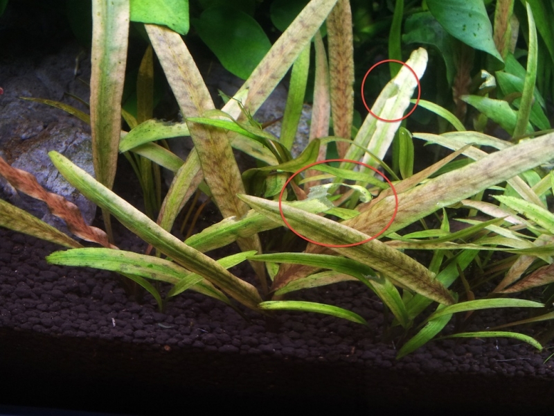 2012-08-26 20.10.29.jpg
