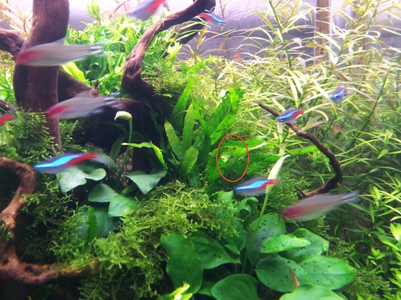 2012-08-26 19.55.22.jpg