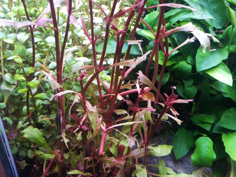 2012-08-27 20.53.33.jpg
