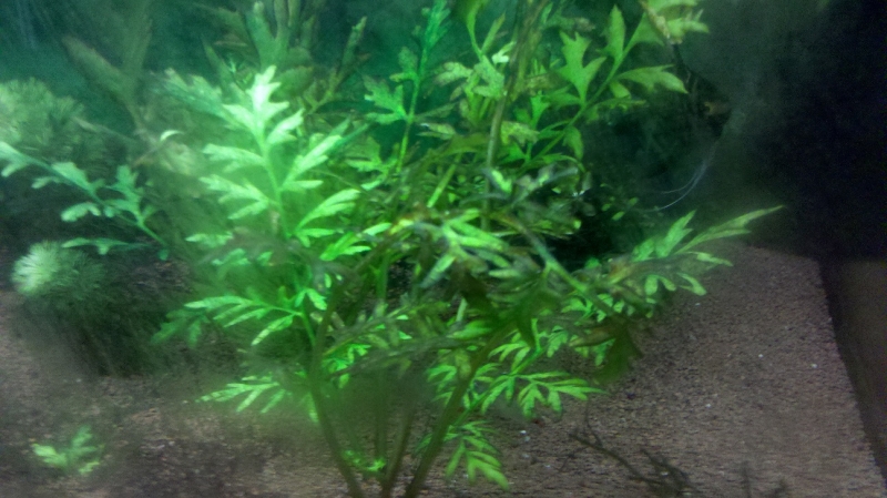 2012-08-31_12-54-18_655.jpg