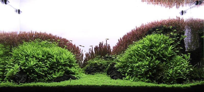 20120714024edit.jpg