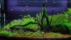 180l - Darek Majchrowski