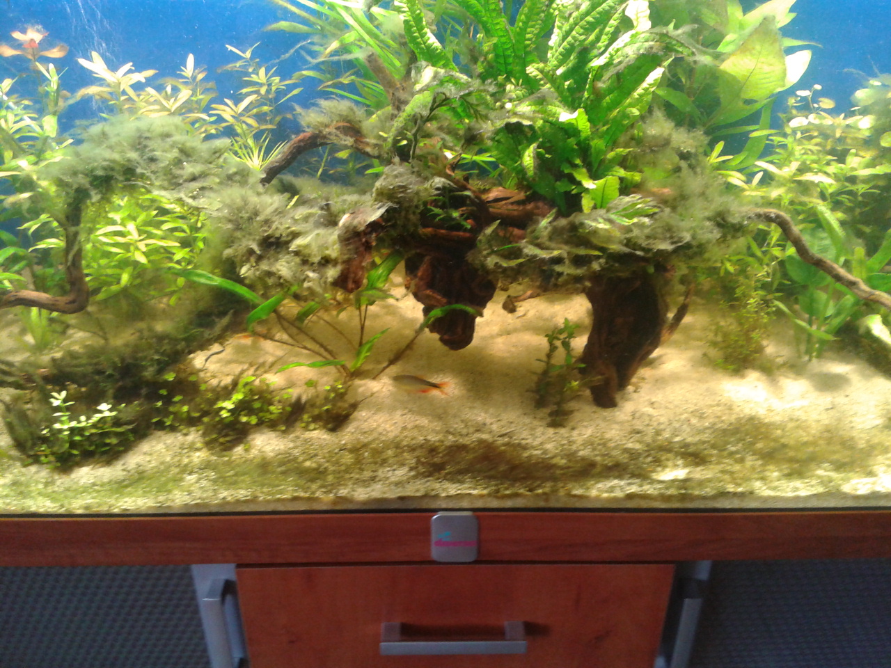 2012-09-22 14.12.11.jpg
