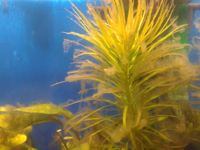 2012-09-22 14.50.24.jpg
