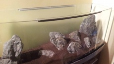 120 x 40 x 50 Hardscape do oceny