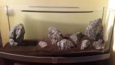 120 x 40 x 50 Hardscape do oceny