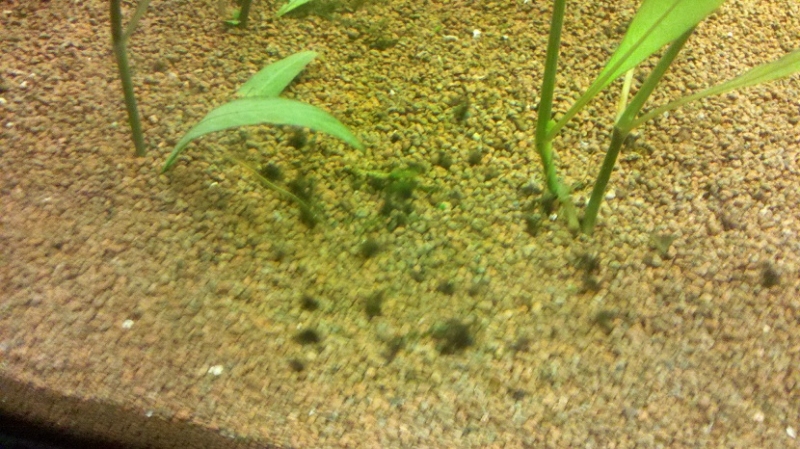 2012-09-27_08-20-39_538.jpg