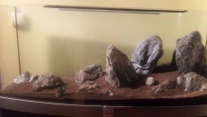 120 x 40 x 50 Hardscape do oceny