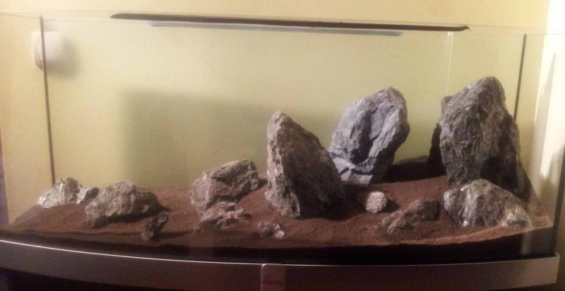20120928_115521.jpg