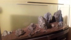 120 x 40 x 50 Hardscape do oceny