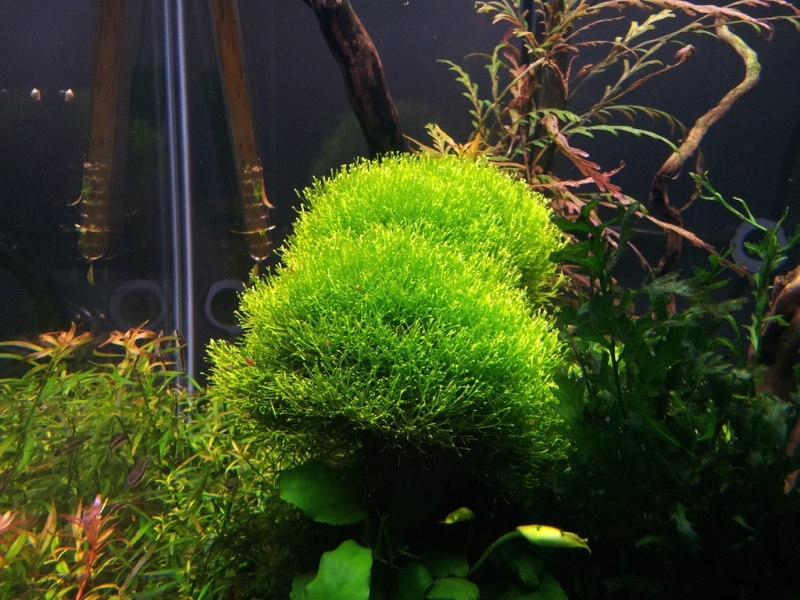 2012-10-01 17.31.43.jpg