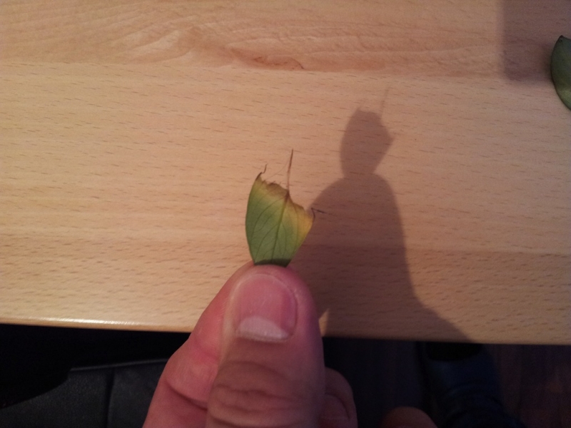 2012-10-02 20.05.22.jpg