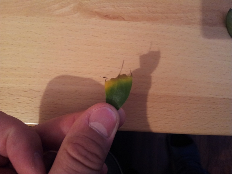 2012-10-02 20.05.15.jpg
