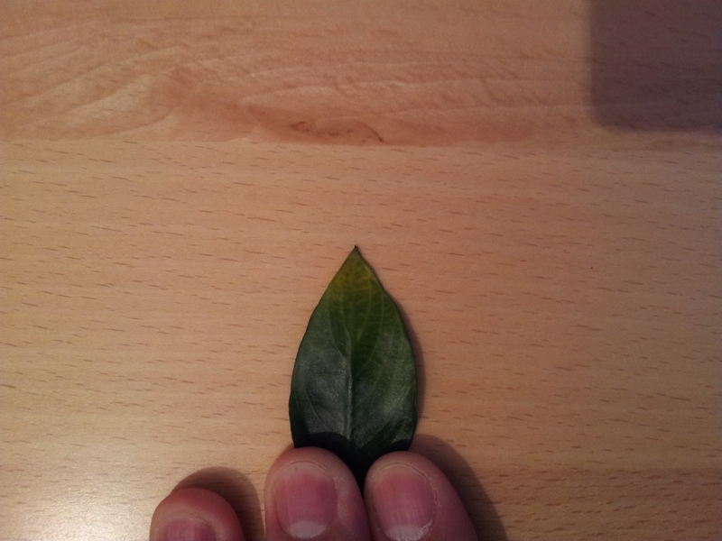 2012-10-02 20.03.43.jpg