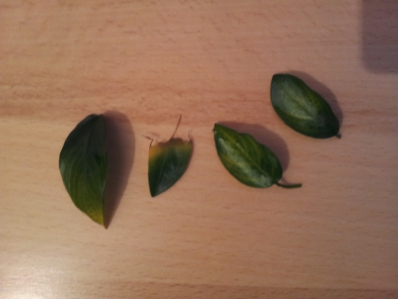 2012-10-02 20.02.34.jpg