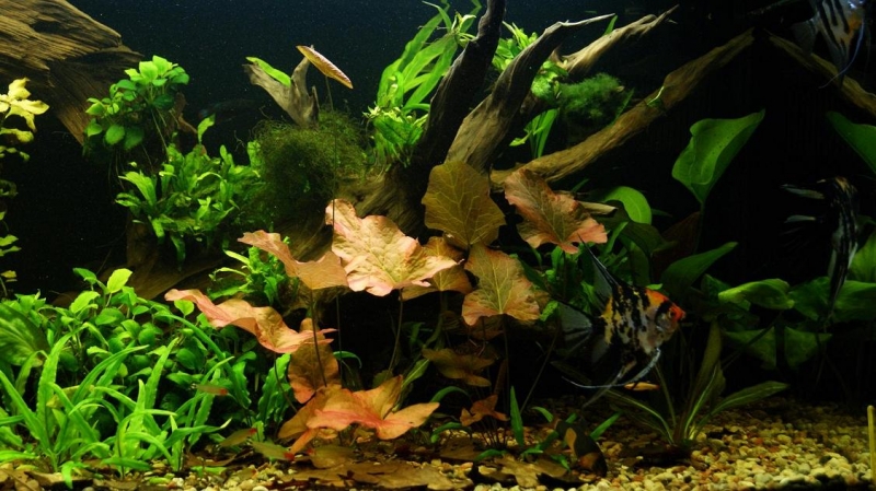 02-10-2012 5.JPG