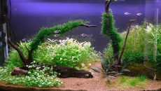 180l - Darek Majchrowski