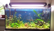 200l - nadziei