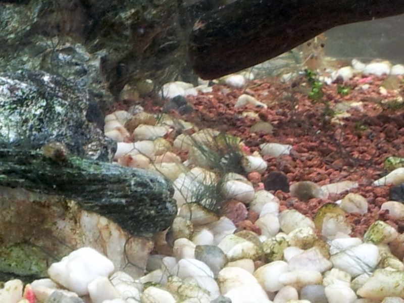 20121010_130438.jpg