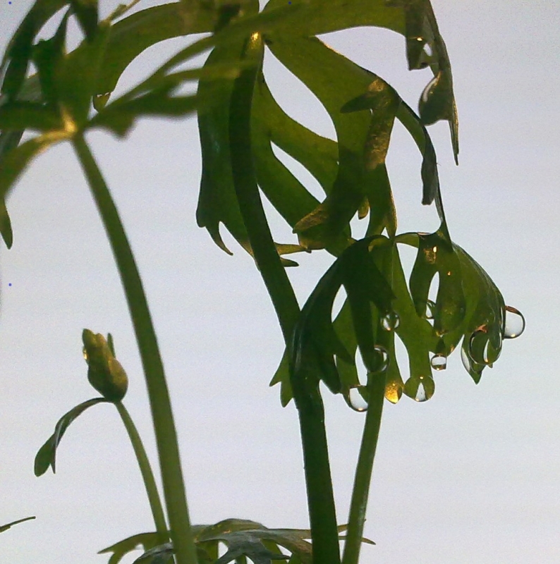 20121011855.jpg