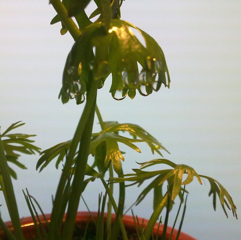 20121011853.jpg