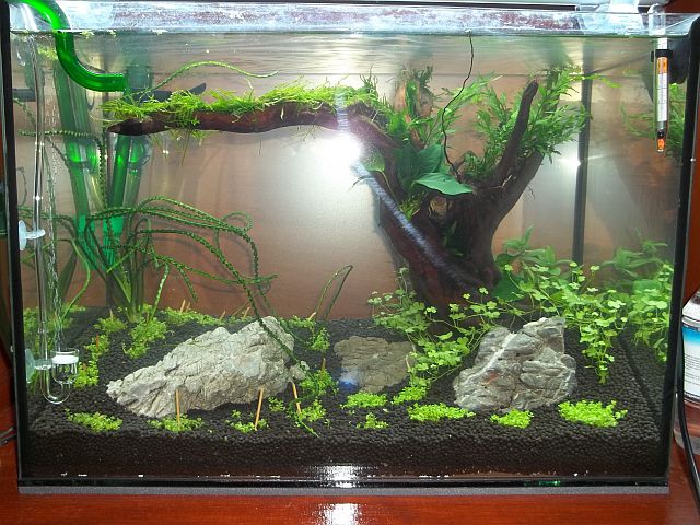 100_1136.JPG