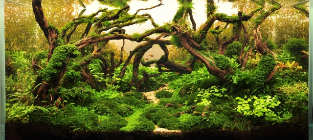 0017_wyostr_stonowane50_640x287.jpg